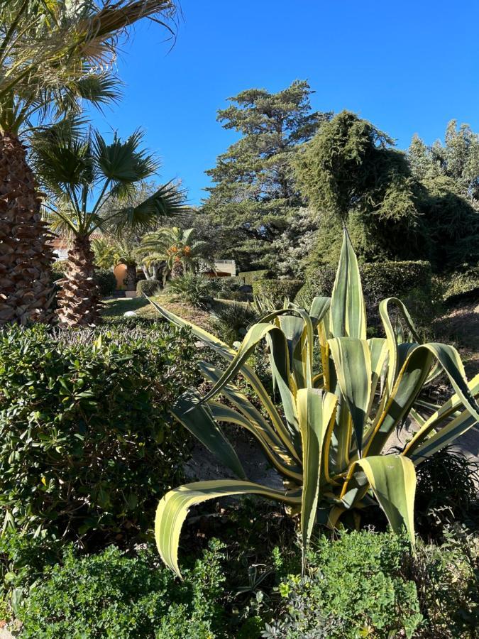 Appartement Vue Mer Domaine Arbore Saint-Raphaël Exterior foto